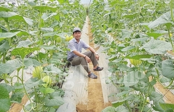 Đà Nẵng: “Hot” xu hướng kinh doanh nông sản sạch online