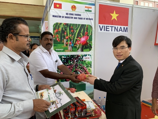 “Bày cách” để thanh long Việt Nam chinh phục thị trường Ấn Độ