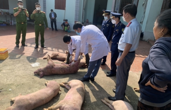 Xử phạt cơ sở sơ chế, bảo quản sản phẩm động vật mang mầm bệnh tại Bắc Giang