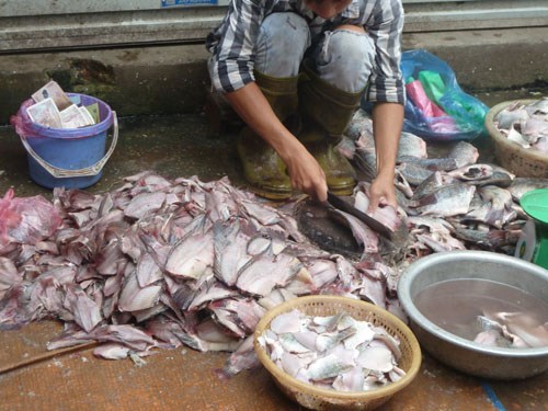 Xác minh thông tin cá ươn chợ đầu mối Dịch Vọng