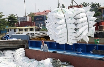 Lưu ý về quy định xuất nhập khẩu than đá, dầu cọ thô và gạo của Indonesia