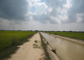 ADB tài trợ hơn 100 triệu USD vào hệ thống thủy lợi ở Việt Nam