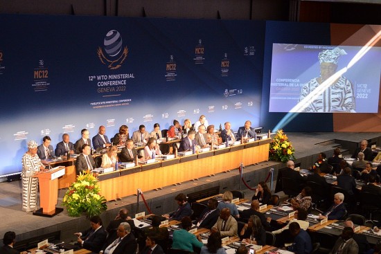 Bộ trưởng Nguyễn Hồng Diên: WTO nên là cơ quan kiến tạo giải pháp đối phó với khủng hoảng toàn cầu