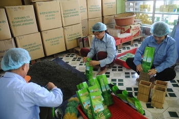 Vietnamese exports, not everyone’s cup of tea
