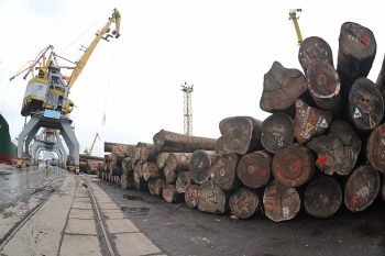 Wood business says no to illegal timber