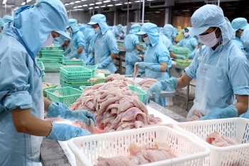 Tra fish exports target US$2.3 billion