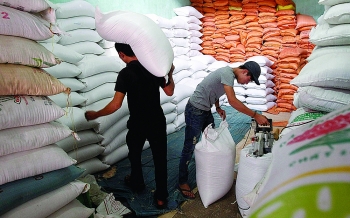 Rosy export picture for Vietnamese rice