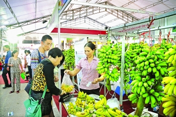 Potential new markets for Vietnam in Mideast, Africa