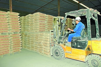 The cost of Vietnam’s cement export growth