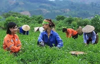 Sơn La: Hỗ trợ doanh nghiệp khắc phục khó khăn do dịch