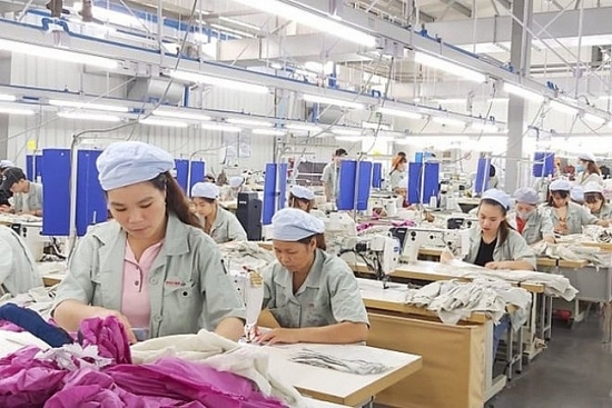 Ninh Bình: Tập trung dạy nghề, giải quyết việc làm cho lao động