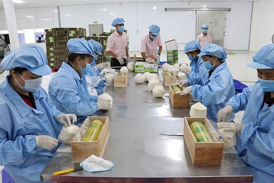 Cơ hội đẩy mạnh xuất khẩu rau, củ, quả Việt Nam sang EU