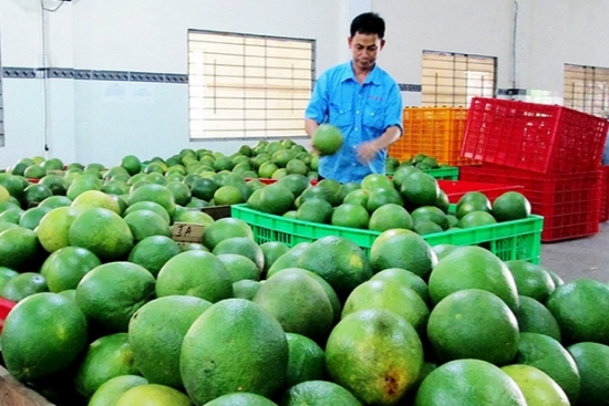 Chi Lê quan tâm đến mặt hàng nông sản, hàng tiêu dùng Việt Nam
