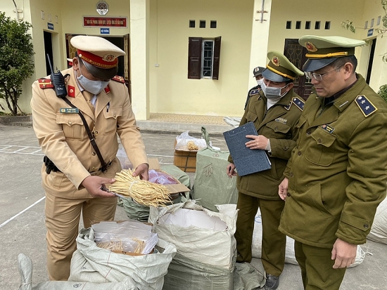 Lạng Sơn: Tạm giữ hơn 1,2 tấn dược liệu nhập lậu