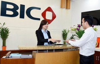 BIC ra mắt sản phẩm bảo hiểm du lịch phí dưới 1 USD/ngày