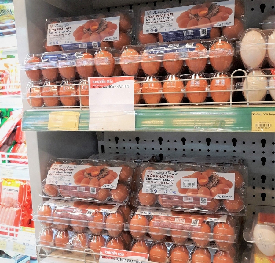Trứng gà sạch Hòa Phát đã vào hàng loạt siêu thị