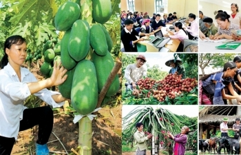 Tài chính nông thôn - "Trụ cột" cho chính sách giảm nghèo tại Việt Nam