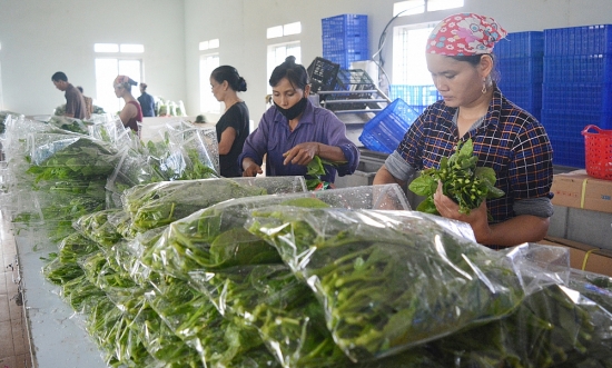 Phú Thọ: Chất lượng hàng Việt là yếu tố quan trọng hàng đầu