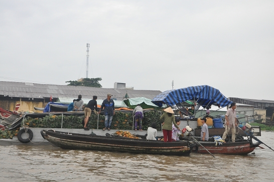 Đồng bằng sông Cửu Long: Quy hoạch mạng lưới chợ truyền thống