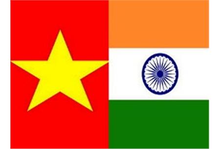 AITIG: Thúc đẩy hợp tác kinh tế Việt Nam - Ấn Độ