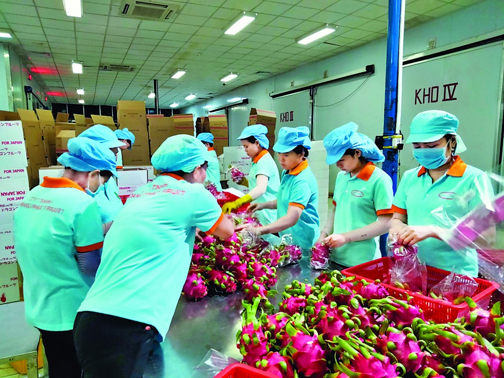 Nông sản Việt chinh phục thế giới
