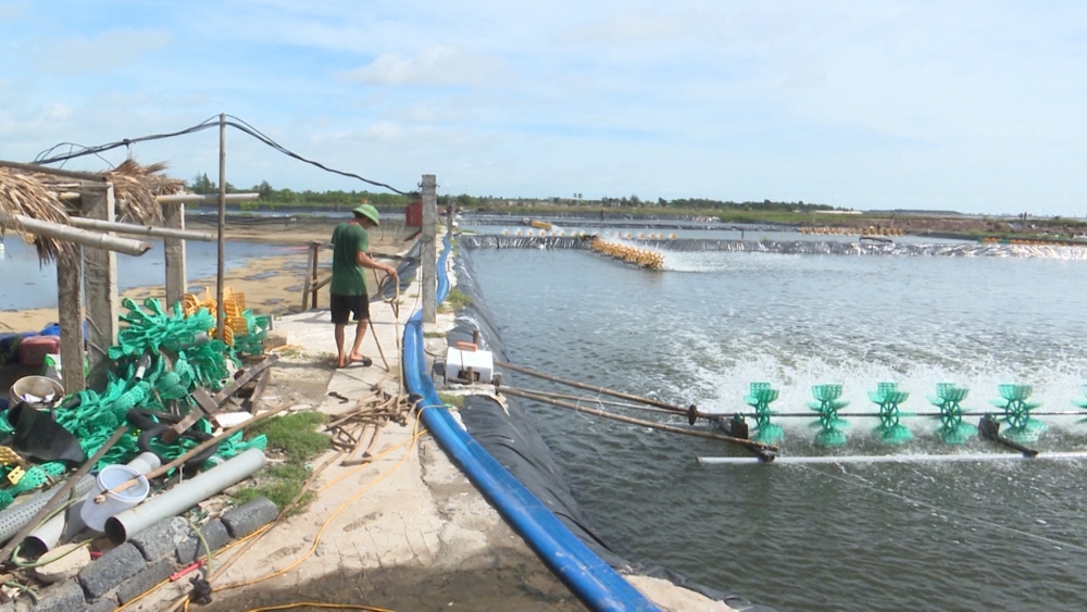 Thái Bình: Kinh tế biển bứt phá