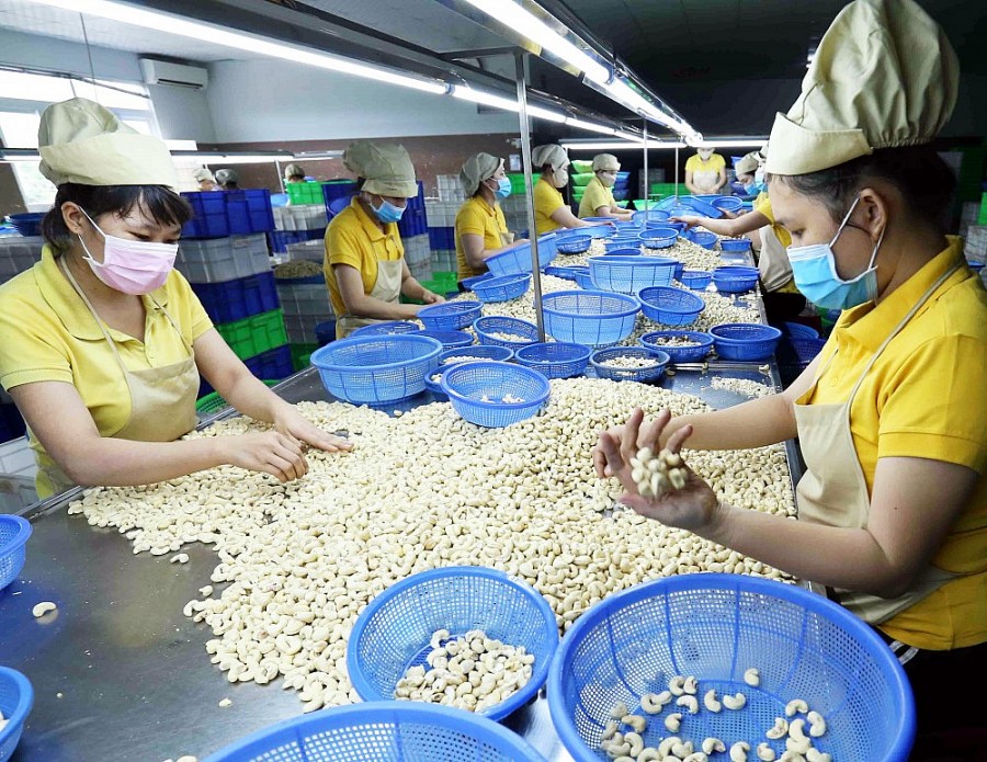 Tỉnh Đồng Nai: Mở rộng cơ hội xuất khẩu cho doanh nghiệp