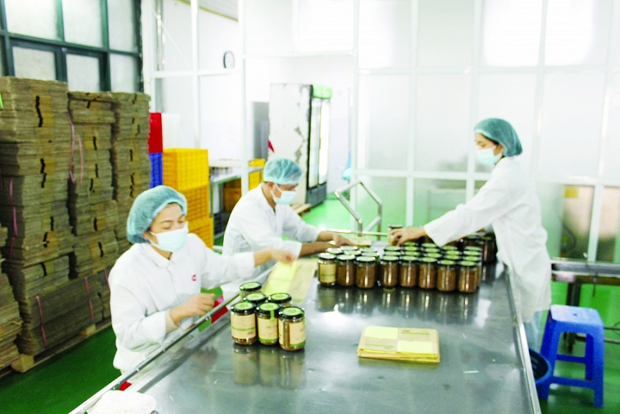 Ban hành cơ chế, chính sách đột phá: Hà Nội hỗ trợ hiệu quả khởi nghiệp sáng tạo