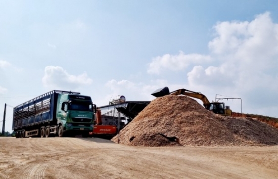 Nghệ An: Trang trại chăn nuôi bò ‘biến tướng’ thành xưởng băm dăm trái phép