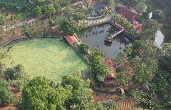 Lào Cai: Hàng loạt trang trại xây trên đất rừng, trách nhiệm thuộc về ai?