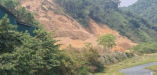 Thủ tướng chỉ đạo xử lý nghiêm tình trạng phá rừng, lấn chiếm đất rừng trái pháp luật