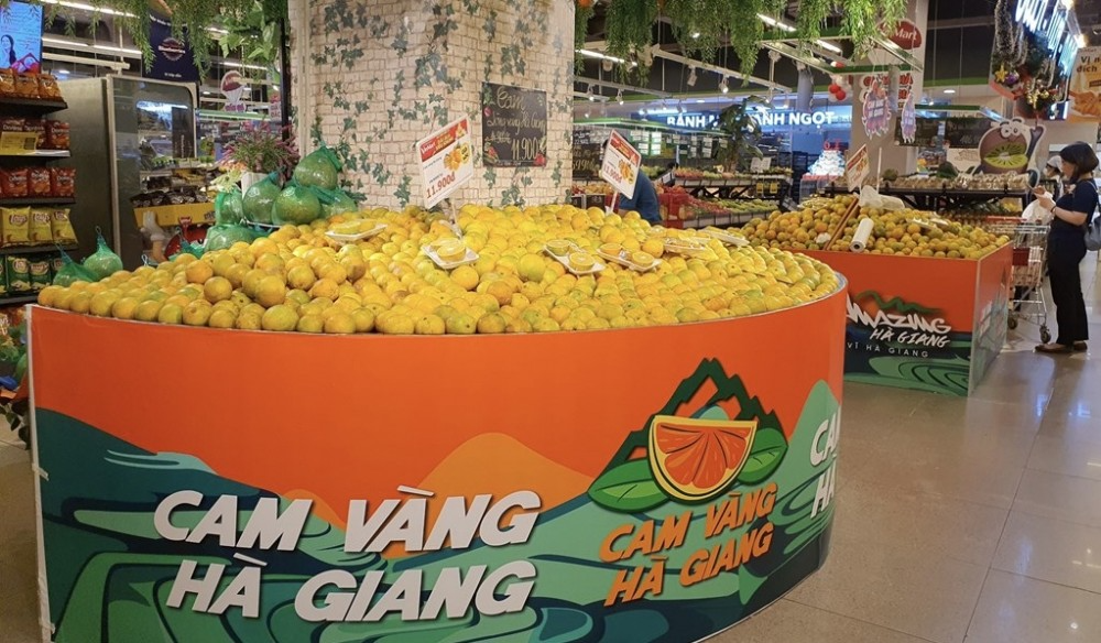 Cam sành tỉnh Hà Giang tiếp tục được giới thiệu, quảng bá ở hệ thống siêu thị tại nhiều tỉnh, thành phố