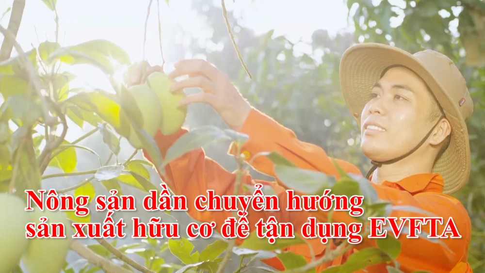 Nông sản dần chuyển hướng sản xuất hữu cơ để tận dụng EVFTA