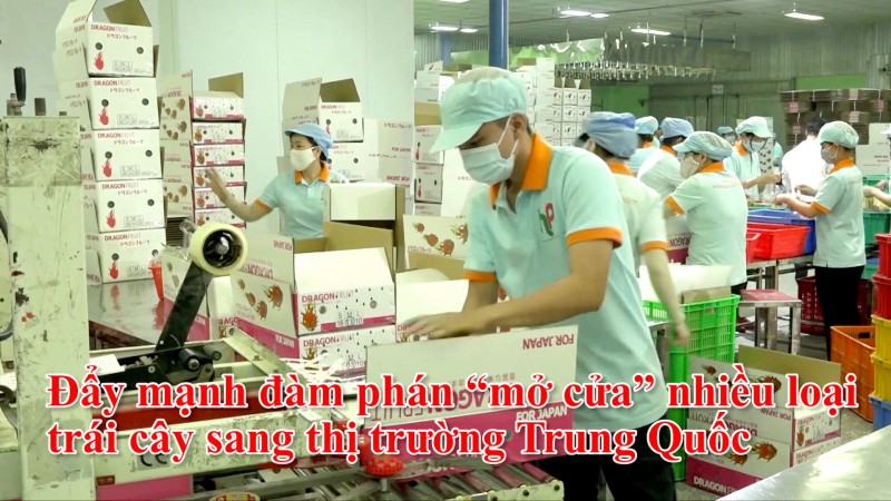 Đẩy mạnh đàm phán “mở cửa” nhiều loại trái cây sang thị trường Trung Quốc