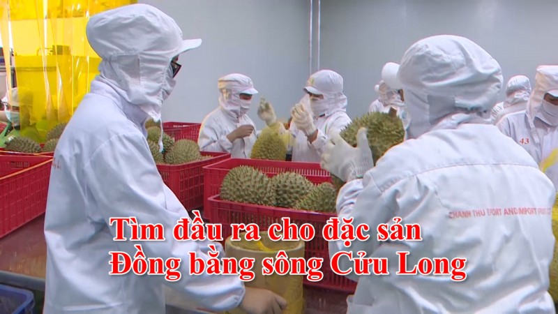 Tìm đầu ra cho đặc sản Đồng bằng sông Cửu Long