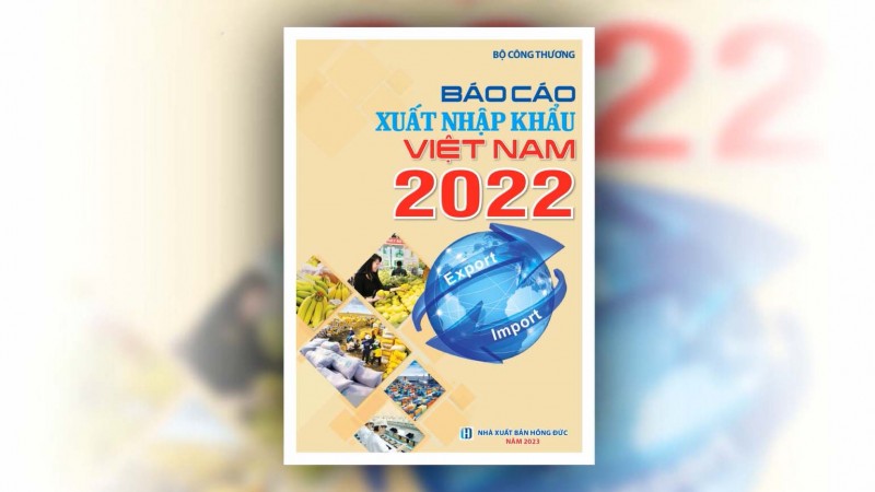 Báo cáo xuất nhập khẩu Việt Nam 2022: Bức tranh đa sắc