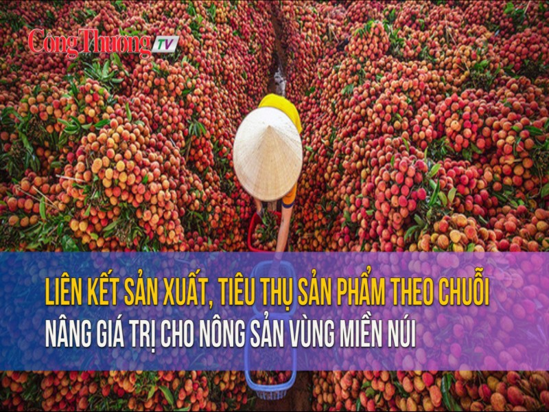 Liên kết sản xuất, tiêu thụ sản phẩm theo chuỗi: Nâng giá trị cho nông sản vùng miền núi