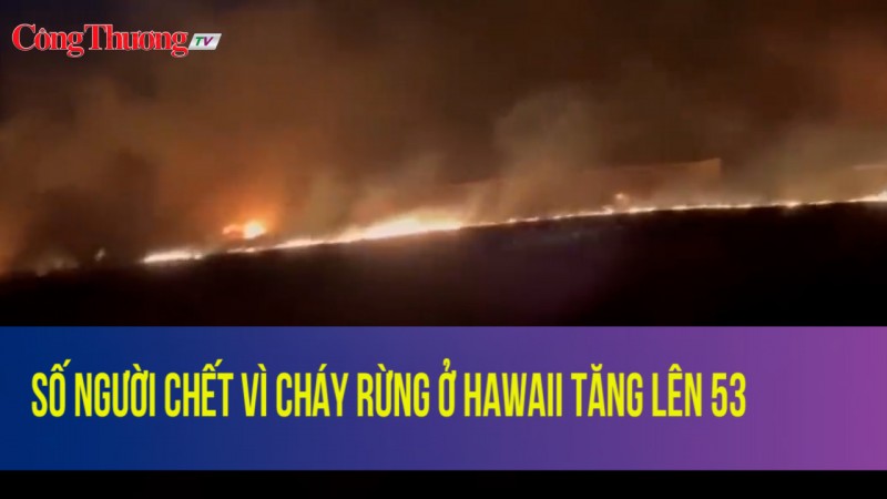 Số người chết vì cháy rừng ở Hawaii tăng lên 53