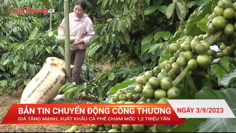 Tin XNK: Giá tăng mạnh, xuất khẩu cà phê chạm mốc 1,2 triệu tấn