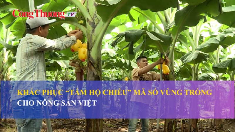 Khắc phục “tấm hộ chiếu" mã số vùng trồng cho nông sản Việt