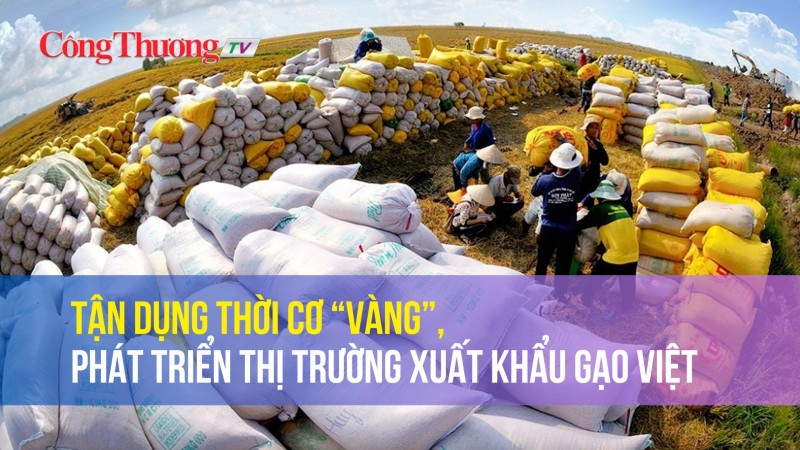Tận dụng thời cơ “vàng”, phát triển thị trường xuất khẩu gạo Việt