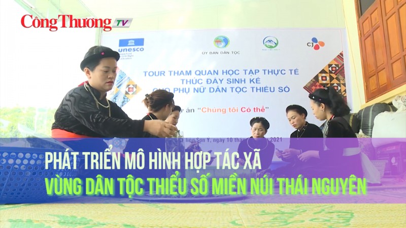 Phát triển mô hình Hợp tác xã vùng dân tộc thiểu số miền núi Thái Nguyên