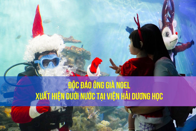 Độc đáo ông già Noel xuất hiện dưới nước tại Viện Hải dương học