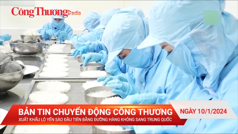 Xuất khẩu lô yến sào đầu tiên bằng đường hàng không sang Trung Quốc