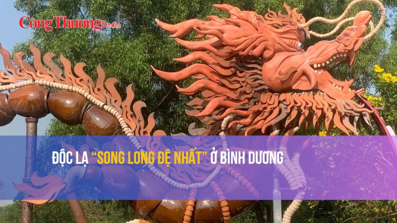 Độc lạ “Song long đệ nhất” ở Bình Dương