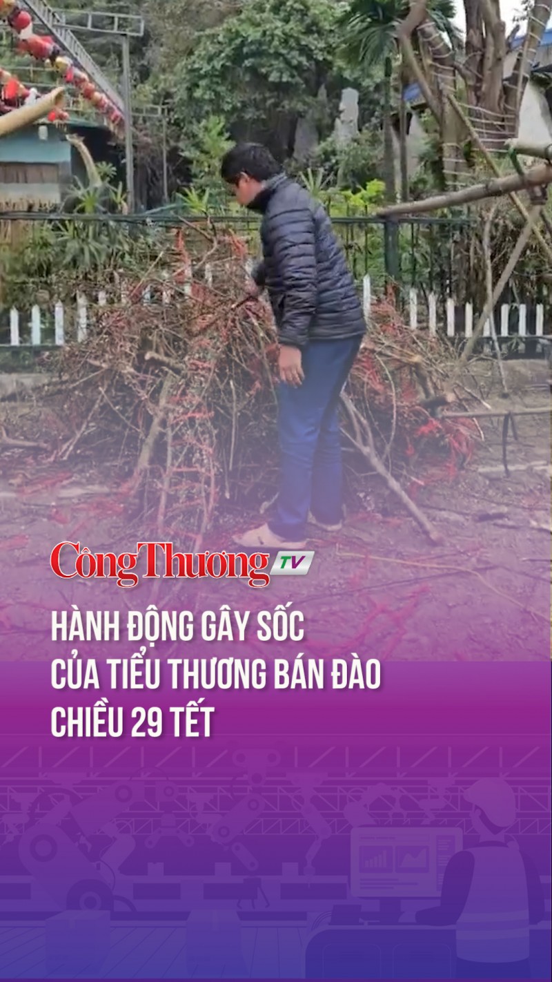 Hành động gây sốc của tiểu thương bán đào chiều 29 Tết