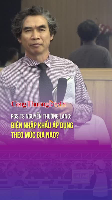 PGS.TS Nguyễn Thường Lạng: Điện nhập khẩu áp dụng theo mức giá nào?