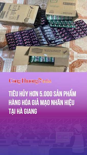 Tiêu hủy hơn 5.000 sản phẩm hàng hóa giả mạo nhãn hiệu ở Hà Giang