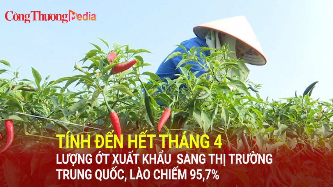 Tính đến hết tháng 4/2024, lượng ớt xuất khẩu sang thị trường Trung Quốc và Lào chiếm 95,7%