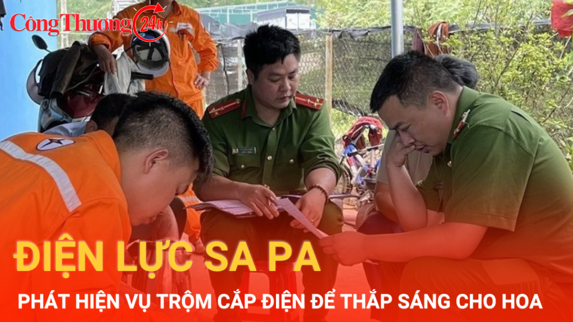 Điện lực Sa Pa phát hiện vụ trộm cắp điện để chiếu sáng trồng hoa